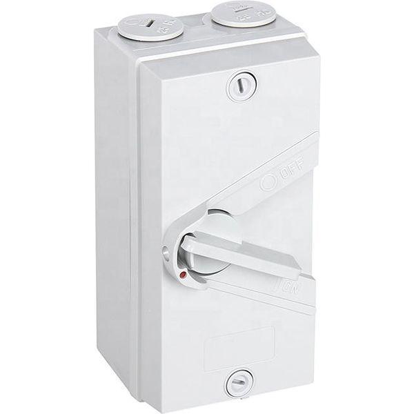 Mini SS Series IP66 2P 35A Isolator